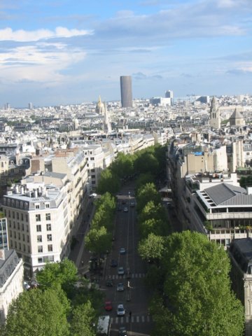 anotherviewfromthearcdetriomphe.jpg