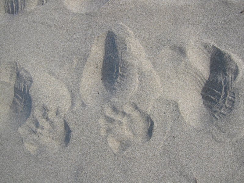 liamshandandfootprints.jpg