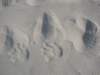 liamshandandfootprints_small.jpg