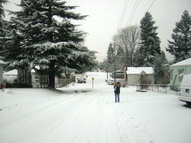 wewalkedtostarbucksinthesnow.jpg